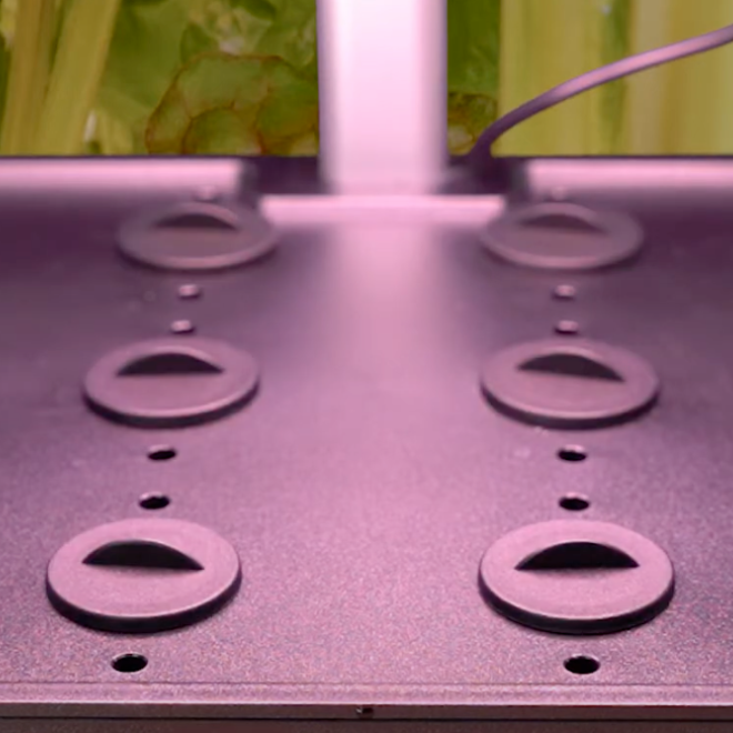 Hydroponics Port Caps (Set of 6)