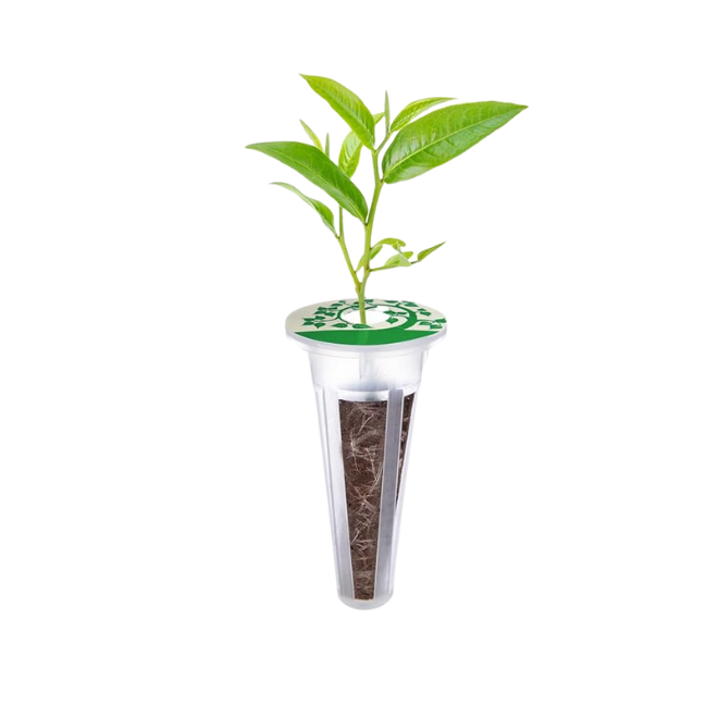 Hydroponic Grow Baskets (Set of 12)